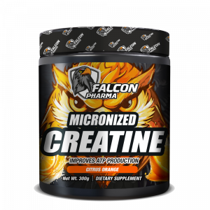 Micronized Creatine -Improves ATP Production (300g)