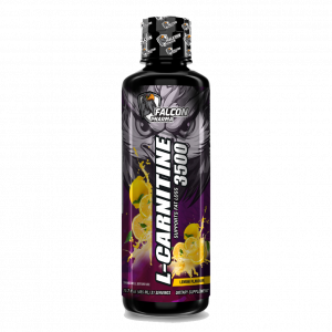 L-Carnitine – 3500 (465 ML)